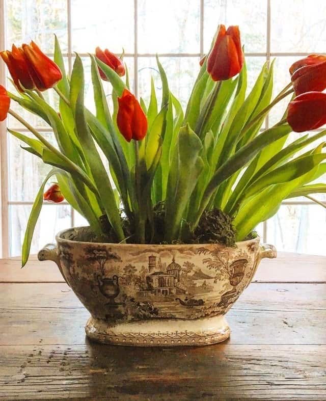 Country Home and Blooms